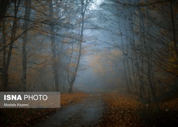 ایران زیبا؛ جنگل‌های ساری