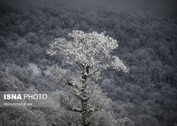 آغاز زمستان