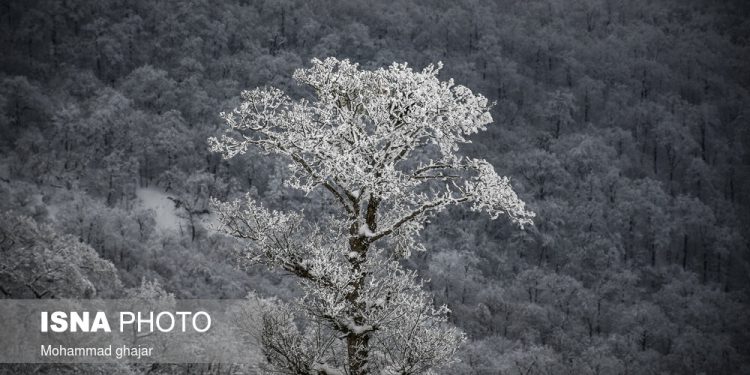 آغاز زمستان