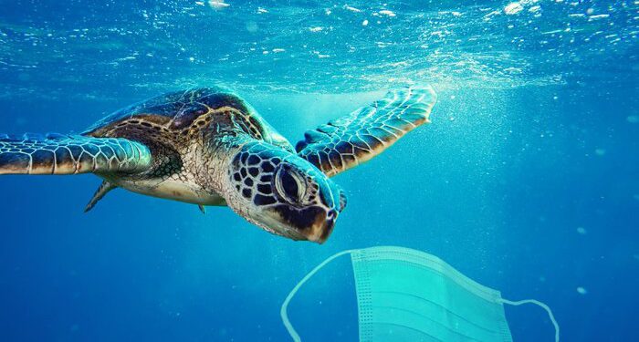 محیط زیست جهانی در ۲۰۲۰؛ رکوردهای منفی شکسته شد