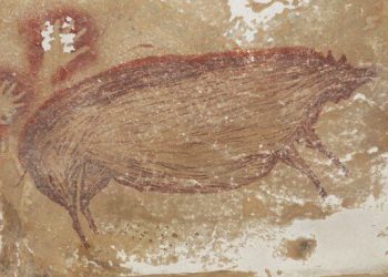 کشف قدیمی‌ترین غارنگاره تاریخ