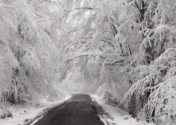 آغاز بارش برف و باران در استان‌های غربی از عصر امروز