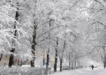 یخبندان در راه ایران