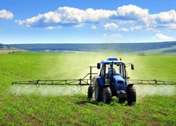 کرمانشاه قطب کشاورزی غرب کشور