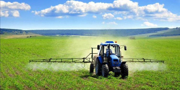 کرمانشاه قطب کشاورزی غرب کشور