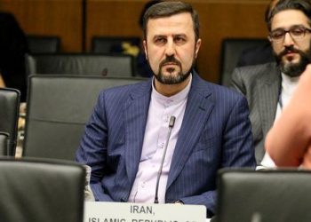 غریب آبادی: دسترسی فراپادمانی به آژانس اعطا نمی‌شود