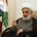 شیخ نعیم قاسم: سردار سلیمانی هرگز در امور داخلی کشورها دخالت نمی کرد