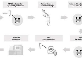 ابداع آزمایش جدیدی برای تشخیص کرونا
