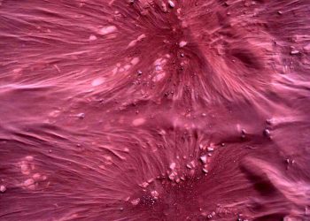 تصاویری از مریخ که تاکنون مشاهده نکرده‌اید