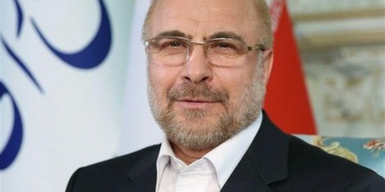 قالیباف: کرامت مردم در توزیع کالا حفظ نمی شود