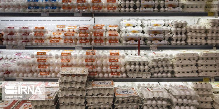 وزارت بهداشت: تخم مرغهای غیر بستهبندی در معرض کرونا هستند