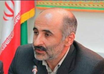 850 هزار اصله نهال صنوبر در کردستان تولید می‌شود