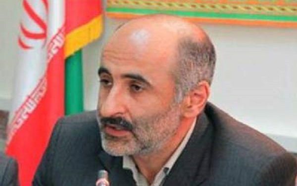 850 هزار اصله نهال صنوبر در کردستان تولید می‌شود
