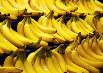 موز از شنبه ارزان می‌شود