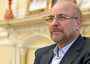 مجلس از هرگونه همکاری با هدف تقویت امنیت، پیشرفت و توسعه همه جانبه استقبال می‌کند