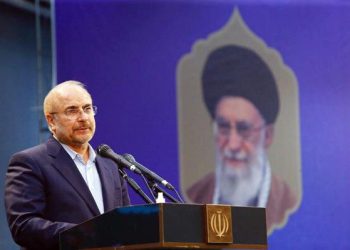 قالیباف: قیمت مرغ هرگز نباید از حدود ۱۱هزار تومان فراتر می‌رفت