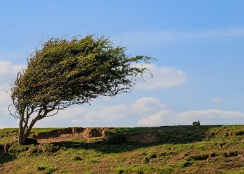 تندباد در راه کرمانشاه است