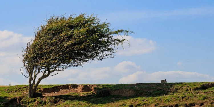 تندباد در راه کرمانشاه است