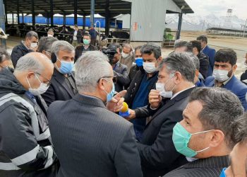 ظرفیت تولید 40 هزار تن گوشت قرمز در استان کردستان