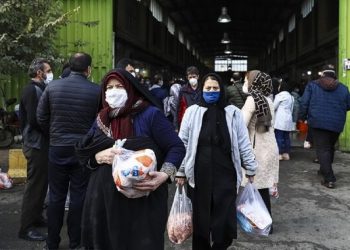 با قاچاق جوجه یکروزه و تخم مرغ نطفه‌دار در  کردستان برخورد جدی می‌شود