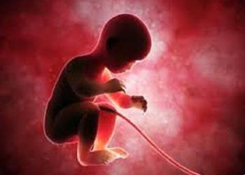 ترمیم زخم‌های دیابتی با استفاده از سلول‌های بنیادی بندناف