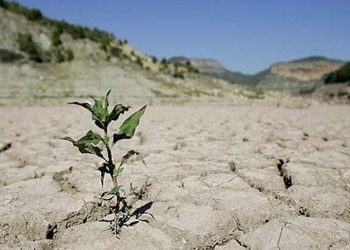 خشکسالی در کردستان بی‌سابقه است