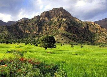 فراخوان نخستین جشنواره منابع طبیعی و رسانه کردستان منتشر شد