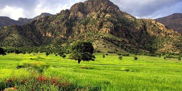 فراخوان نخستین جشنواره منابع طبیعی و رسانه کردستان منتشر شد