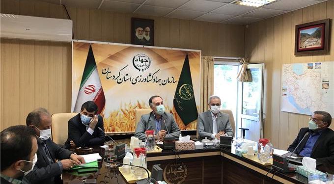 قاچاق جوجه از مرزهای کردستان نزدیک به صفر است