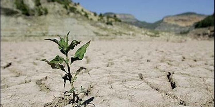 کاهش 93 درصد بارندگی کردستان در اردیبهشتماه سال جاری