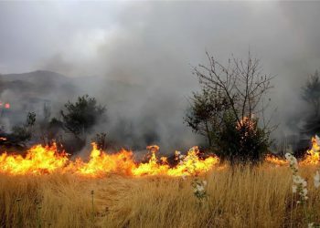 دشت‌های کردستان نیازمند تجهیزات اطفاء حریق است