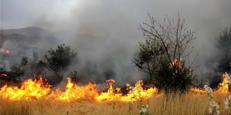 دشتهای کردستان نیازمند تجهیزات اطفاء حریق است