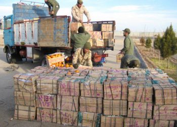 مبدأ چاقاق در استان کردستان نیست