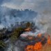 آتش سوزی جنگل های مریوان همچنان ادامه دارد