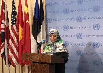 هشدار معاون نمایندگی ایران در سازمان ملل به رژیم اسرائیل 