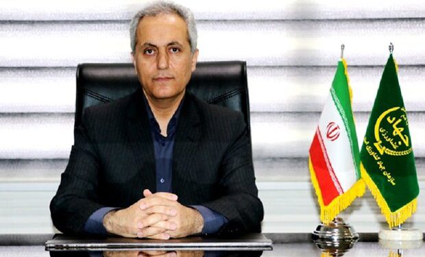 خرید تضمینی گندم در کردستان به بیش از ۲۷۳ هزار تن رسید