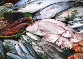 صادرات ۶۰۷ تن خوراک دام و مکمل آبزیان از کردستان به خارج کشور