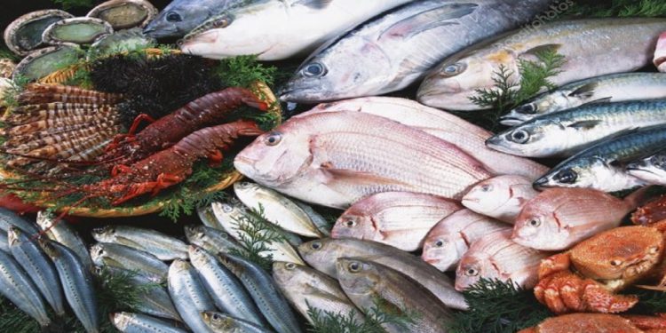 صادرات ۶۰۷ تن خوراک دام و مکمل آبزیان از کردستان به خارج کشور