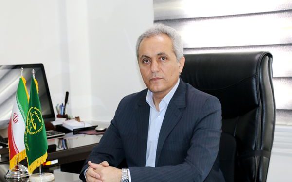 ۴۸۰ هزار هکتار از دیمزارهای کردستان زیرپوشش طرح جهش تولید قرار می‌گیرد
