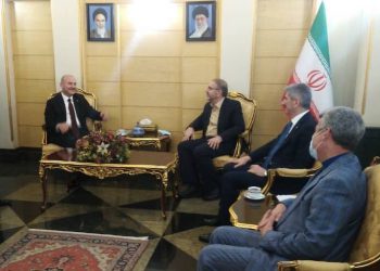 با استقبال ذوالفقاری؛ وزیر کشور ترکیه وارد تهران شد