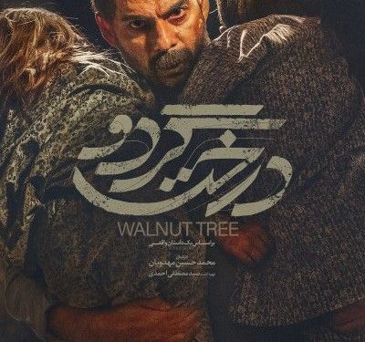 اکران عمومی فیلم ایرانی درخت گردو در اقلیم کردستان