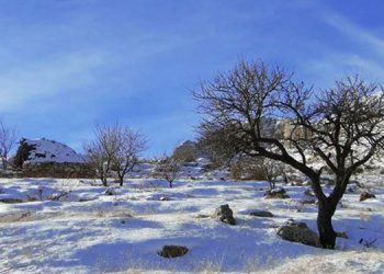 یخبندان در 24 استان و آلودگی هوا در برخی کلانشهرها / سامانه بارشی تازه در راه است