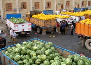 صادرات 300 هزار تن محصولات کشاورزی از کردستان