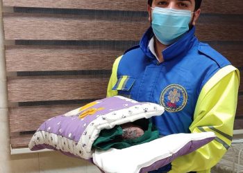 زایمان موفق مادر باردار در پیچ و خم جاده‌های برفی کردستان