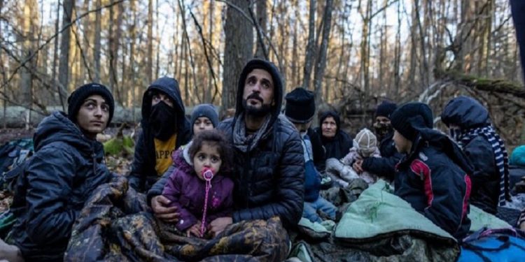 نگرانی مقامات اقلیم کردستان عراق از مهاجرت جوانان