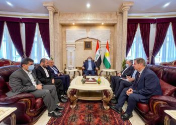 دولت ایران دیپلماسی منطقه را تقویت می‌کند