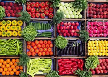 واردات ۴ محصول کشاورزی به عراق آزاد شد