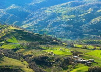 پارک جنگلی سورین بانه به سرمایه گذاران دارای صلاحیت واگذار می‌شود