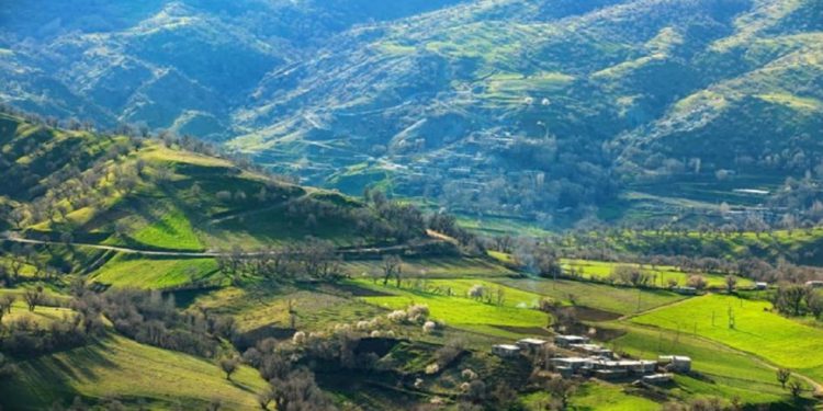 پارک جنگلی سورین بانه به سرمایه گذاران دارای صلاحیت واگذار می‌شود