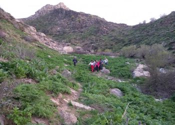 نجات کوهنورد حادثه دیده در ارتفاعات روستای گوگجه محور سقز به مریوان